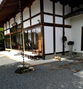 宝泉寺にはよく猫がいます(2)