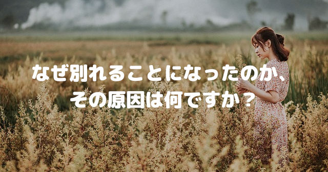 なぜ別れることになったのか、その原因は何ですか?