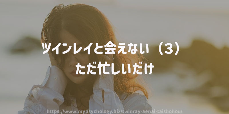 ツインレイと会えない(3)ただ忙しいだけ