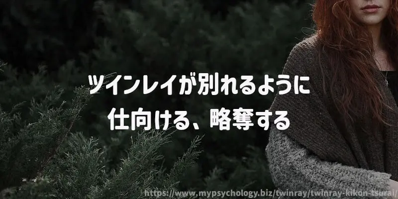 ツインレイが別れるように仕向ける、略奪する
