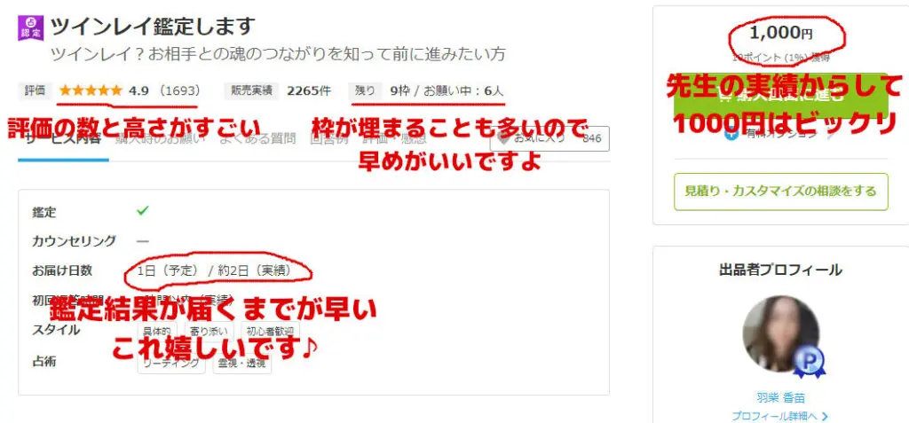 ツインレイ診断羽柴先生の申し込み画面